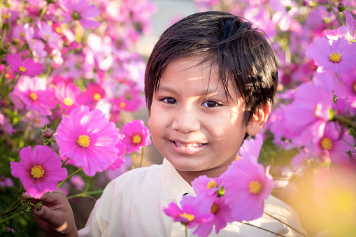 Portrait of an Asian boy smiling in the pink cosmos flower garden.
