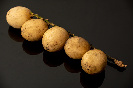 A branch adorned with five round, brown fruits rests on a dark surface. These fruits are langsat fruit, a tropical delicacy known for its sweet taste and juicy texture