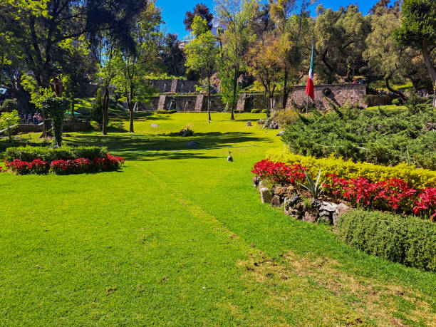 Basilica de la ciudad de mexico, jardín en la parte posterior