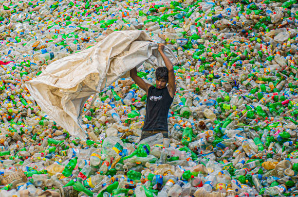Crop anonymous activist showing eco friendly bag with plastic bottles collected for recycle and reuse
