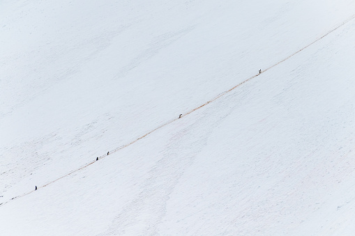 Telephoto of Gentoo Penguins -Pygoscelis papua- climbing up a steep hill along a penguin highway, near the entrance of the Lemaire Channel, on the Antarctic Peninsula