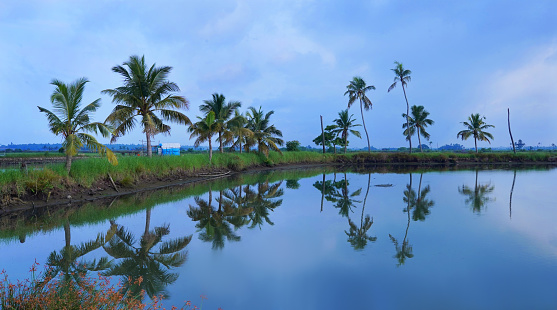 kerala is the most beautiful state in India