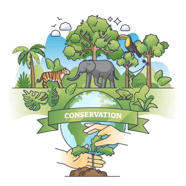 istock Conservation efforts to save forests or wildlife biodiversity outline concept 2149928973