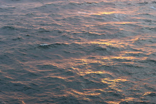 Golden sunset reflecting on the surface of the ocean, creating a beautiful contrast with the dark blue of the moving waves at punta faxilda