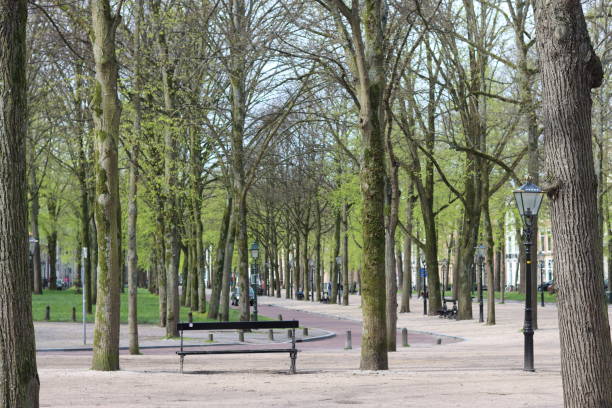 istock Bench surrounded by trees in a city park 2149931020