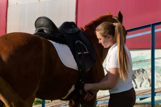 istock Woman fastening saddle straps on horse 2149931778