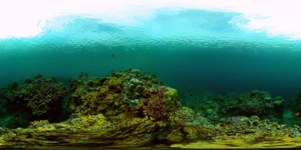 istock Coral reef with fish underwater. Philippines. Virtual Reality 360. 2149931799