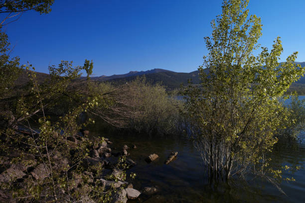 ...spring mountain landscape on a sunny day in spain near madrid