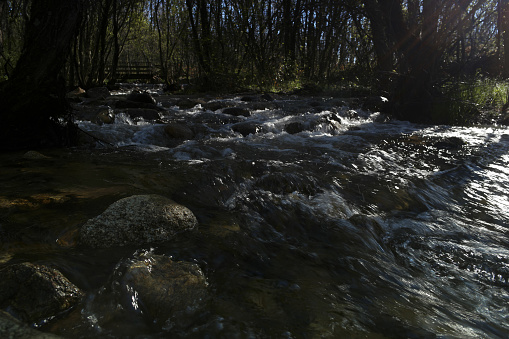 view of a mountain river in spring on a sunny day