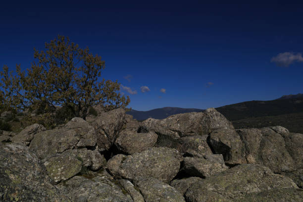 ...spring mountain landscape on a sunny day in spain near madrid