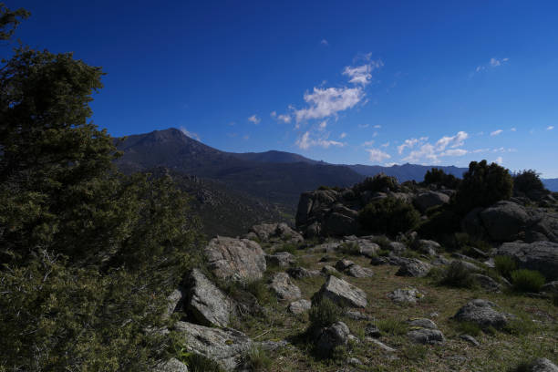 mountains, spring, nature, flora, view, landscape, outdoors, colors, beautiful, spain, madrid,