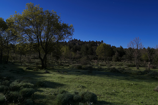 ...spring mountain landscape on a sunny day in spain near madrid