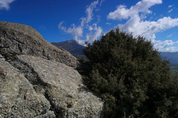 ...spring mountain landscape on a sunny day in spain near madrid