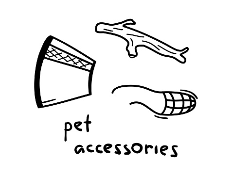Hand drawn set of pet elements: Stick, muzzle and protective collar. For the design of dog themes: training, caring, grooming. Doodle sketch vector illustration.