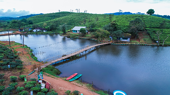 Munnar is the most beautiful tea garden in Kerala