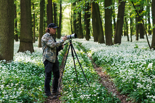 Caucasian man of 56 sitting in the forest at winter, operating a camera while vlogging about nature themes such as botany, biology and environmental conservation.