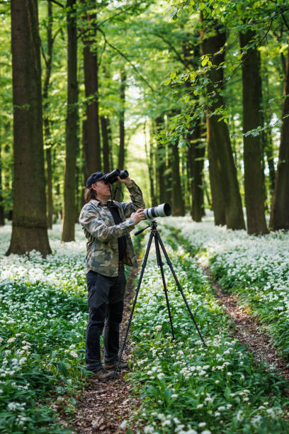 istock Wildlife photographer is bird watching in forest 2149934316