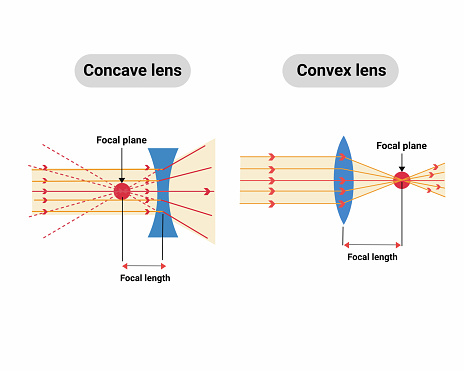 light rays passing through lens Convex or converging lens schematic diagram in optics physics vector illustration