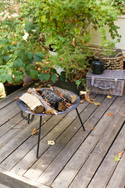 istock Dry firewoods in metal fireplace 2149939258
