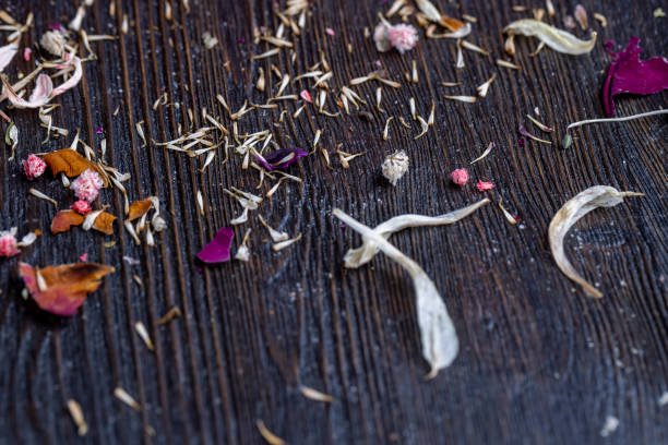 different dried flowers in a bouquet, an old dried bouquet for a gift from a complex of flowers