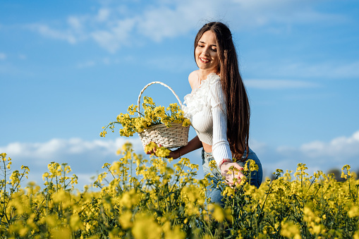 young woman with a white shirt and blue jeans holding a white wicker basket with canola standing in a canola field