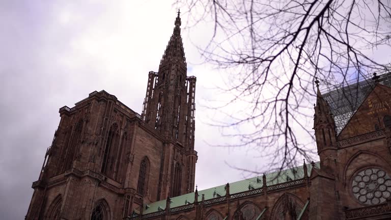 Look up shot over Strasbourg Cathedral or Strasbourg Notre-Dame, leafless branches in Foreground, France