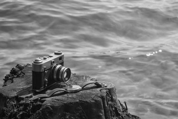 Vintage analog camera and watch with a leather strap lying on a stump next to the water.  Close-up
