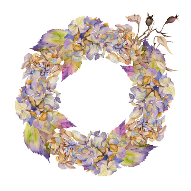 istock Hand drawn watercolor illustration shabby boho botanical flowers leaves. Hydrangea hortensia purple withered inflorescence. Wreath round frame isolated on white background. Design wedding, love cards 2149944437