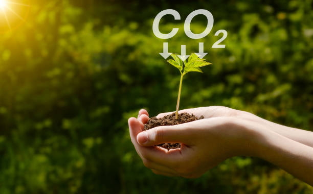 istock Reduce CO2 emission concept. Young plant in hands and CO2 sign 2149944975