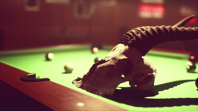 An animal skull is on a pool table