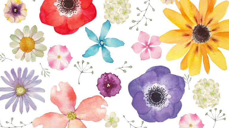 Loop video of spring and summer flowers watercolor illustration