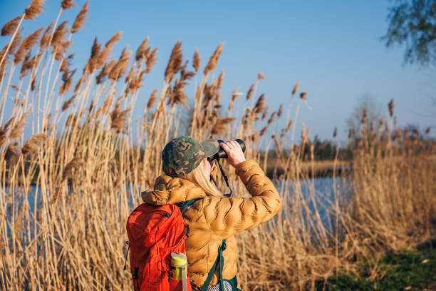 istock Bird watching and wildlife observation at lake 2149950088