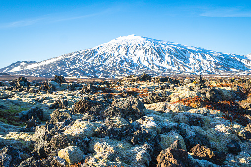 A moss-covered lava field at the base of Snæfellsjökull volcano on Iceland's Snæfellsnes Peninsula