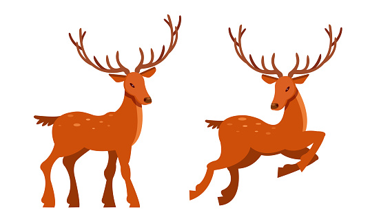 Brown Deer with Antlers and Slender Legs in Standing and Jumping Pose Vector Set. Horned Forest or Woodland Animal Concept