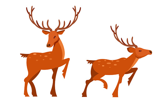 Brown Deer with Antlers and Slender Legs in Standing Pose Vector Set. Horned Forest or Woodland Animal Concept