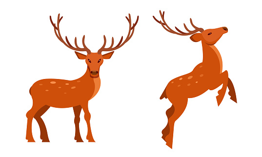 Brown Deer with Antlers and Slender Legs in Standing and Jumping Pose Vector Set. Horned Forest or Woodland Animal Concept