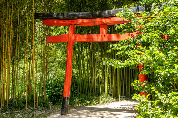 istock Red Tori in a Bamboo Forest 2149952352