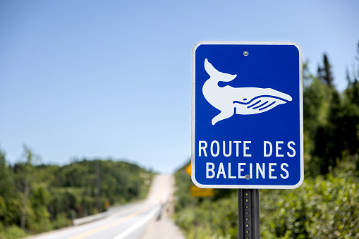 Côte-Nord borders the St. Lawrence for 1250 kilometres (775 miles), from Tadoussac to Blanc-Sablon. The coastline of this region has been designated the Whale Route, since 13 different species of whales, including the blue whale, can be found in the waters of the Estuary and Gulf of St. Lawrence