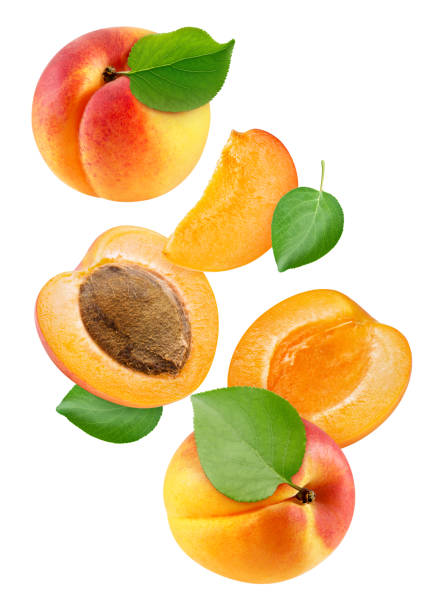 istock Apricot fruit with apricot leaf isolated 2149959484