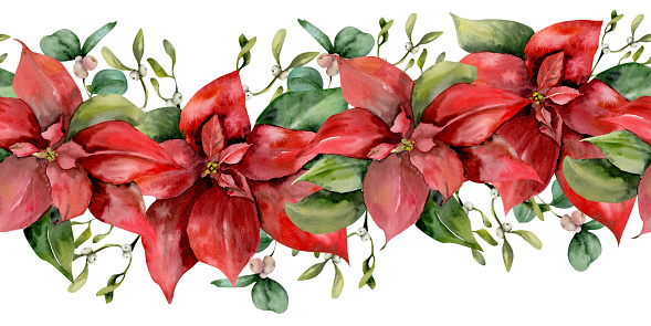 Christmas red flower seamless banner. HAnd drawn watercolor poinsettia border with green omela branches , new year decoration, winter flower fr celebration, invitaion, print, packing design.