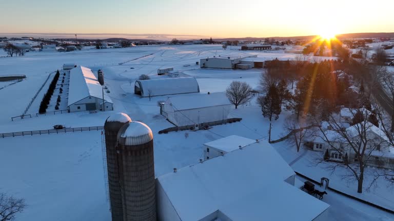 Snow covered farm with barns, house, and silos during golden hour winter sunset. Horse and buggy leaving Amish homestead.