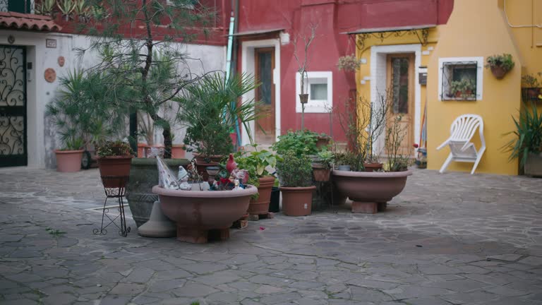 Cobblestone Courtyard with Colorful House Facades and Big Potted Plants in Burano Venice Italy Square