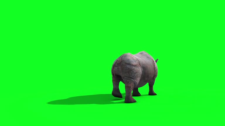 Rhinoceros Walks Back Green Screen 3D Rendering Animation Animals
