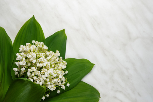 Beautiful lily of the valley bouquet on white marble background. Top view, flat lay. Space for text.