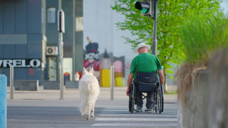 Rear View of Mature Man in Wheelchair Crossing Street with Pet Dog in City