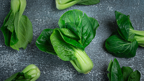 Bright green Bok Choy on a gray background. It is often stir-fried with meat.