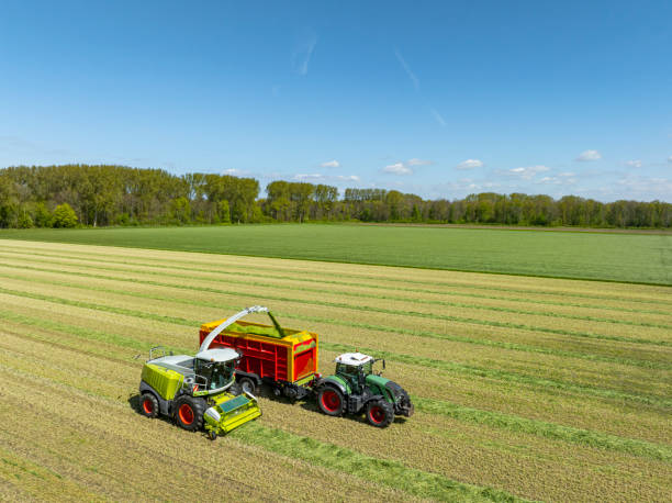 istock Tractor mowing and collecting grass in a meadow during springtime 2149966986