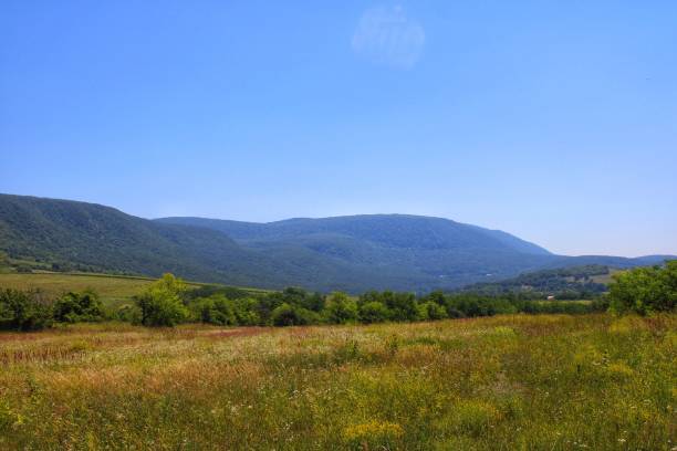 istock Peaceful view at the hills 2149967238