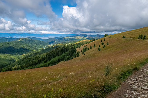 The Landscape of the Carpathian Mountains in Romania