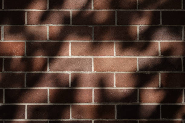Old brown brick wall with shadows from a nearby tree.